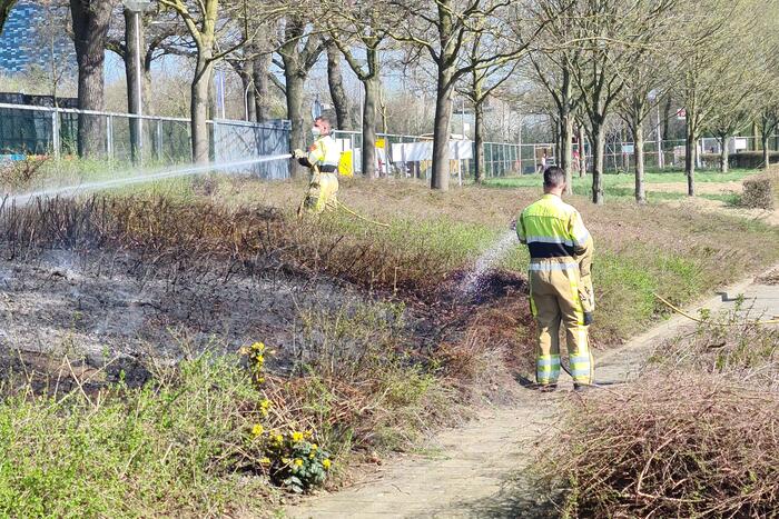 Brand ontstaan in berm
