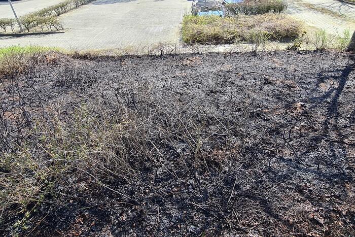 Brand ontstaan in berm