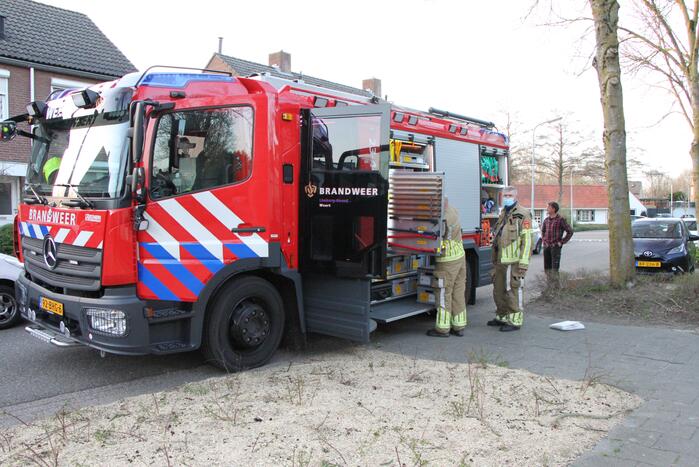 Vogel vast in schoorsteen