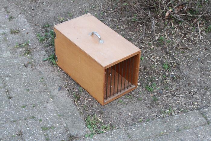 Vogel vast in schoorsteen