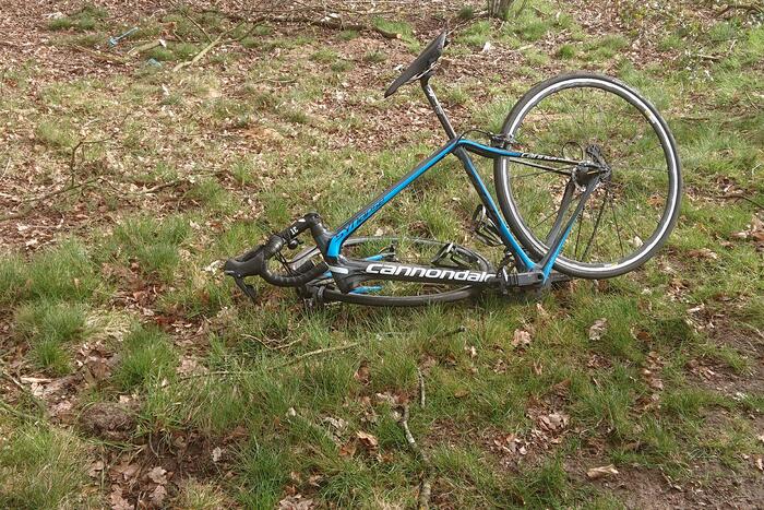Wielrenners gewond bij botsing met wild zwijn