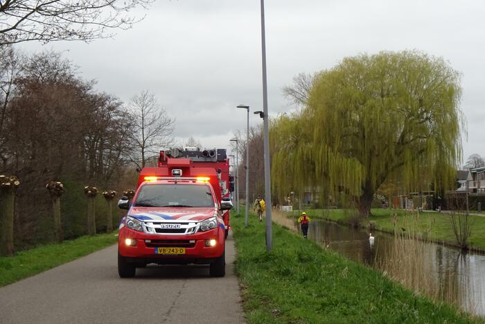 Reddingsactie voor zwaan met visdraad