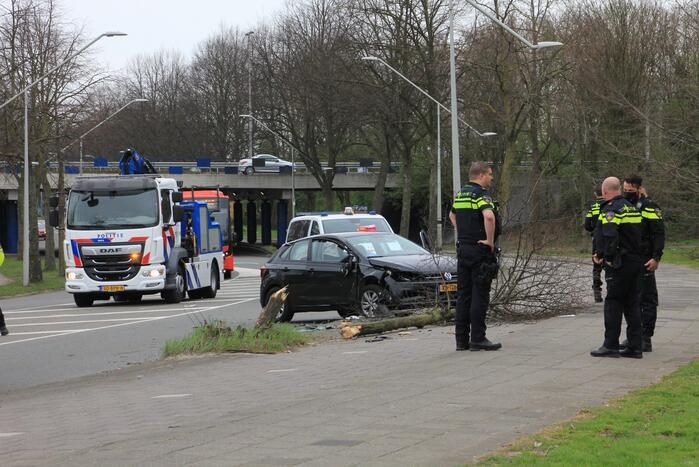 Auto botst tegen boom aan