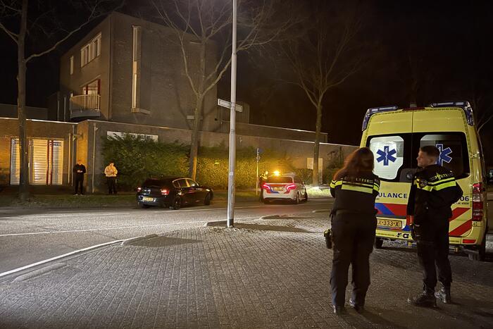 Auto vliegt uit de bocht en knalt tegen boom