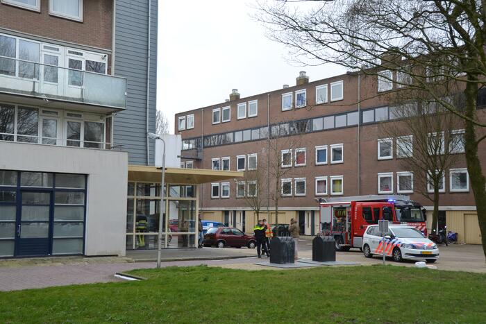 Brand in flatwoning