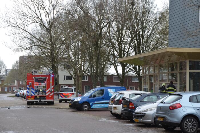 Brand in flatwoning