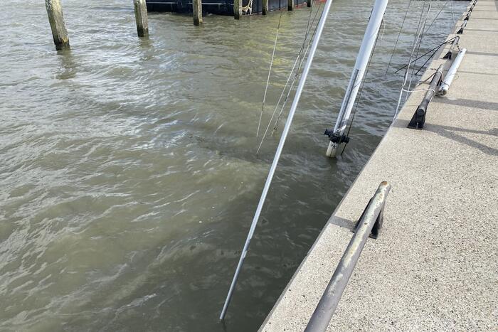 Zeilboot gezonken in Oostvaardersdiep