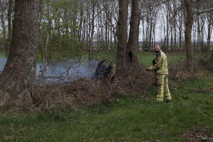 Brandweer blust brandende boom