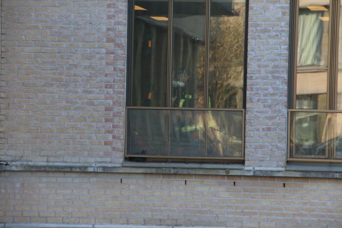 Meerkoet vast tussen raam en balustrade