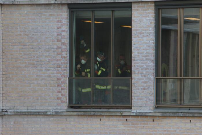 Meerkoet vast tussen raam en balustrade