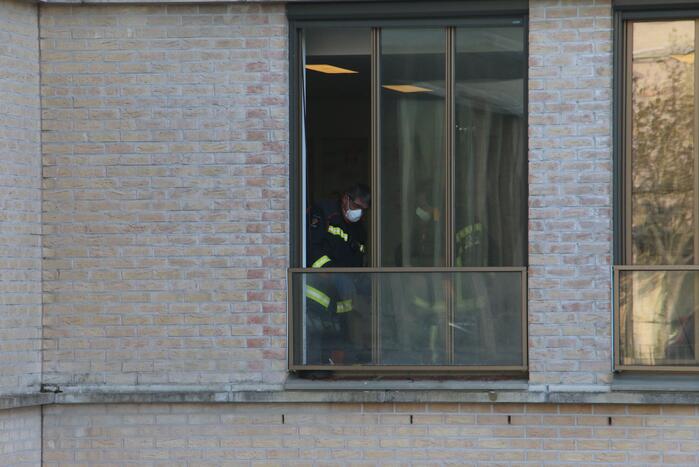 Meerkoet vast tussen raam en balustrade