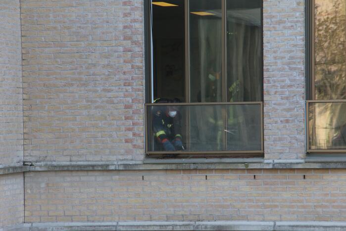 Meerkoet vast tussen raam en balustrade