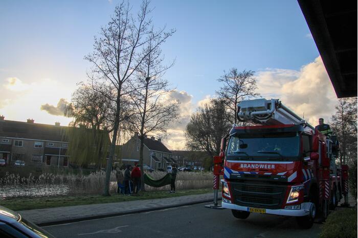 Brandweer haalt kat uit de boom