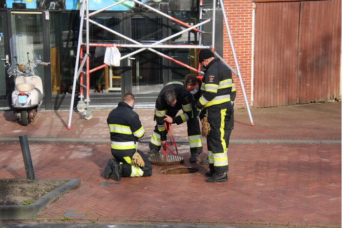 Brandweer doet reddingsactie voor kat in riool