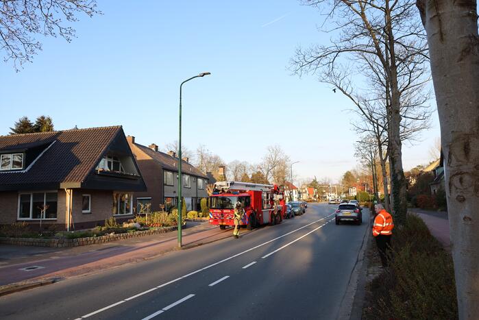 Brandweer en dierenambulance doen poging om vastzittende vogel te bevrijden