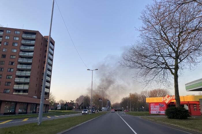 Auto volledig verwoest door brand