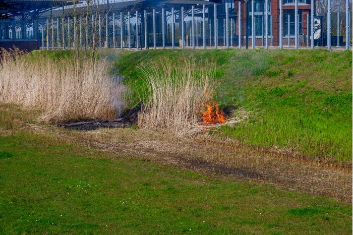 #Helmond Brandweer blust brandend riet Brandevoort Helmond.
