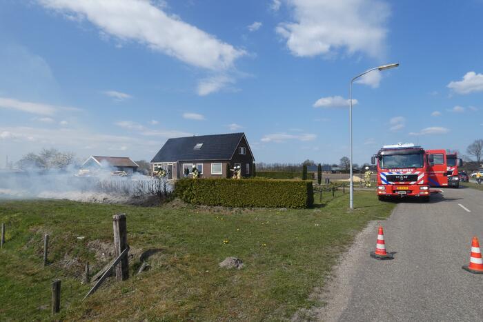 Coniferenhaag in brand