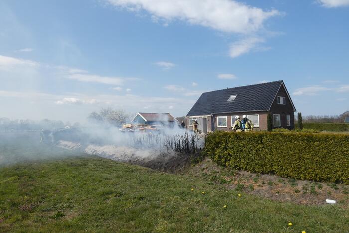 Coniferenhaag in brand