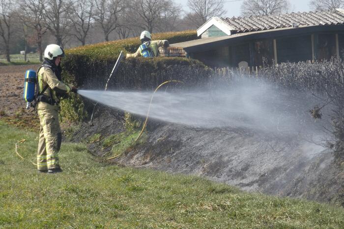 Coniferenhaag in brand