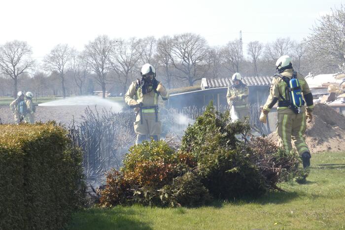 Coniferenhaag in brand