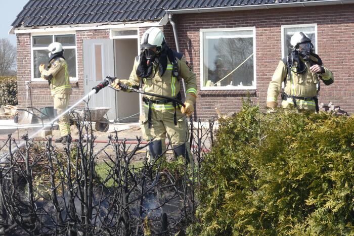 Coniferenhaag in brand