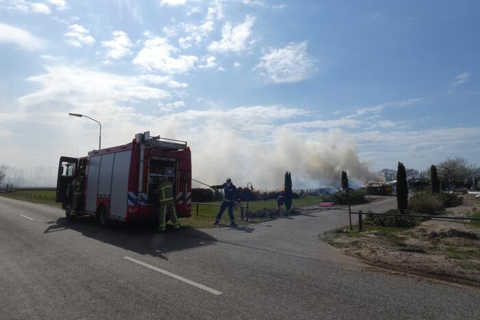 Coniferenhaag in brand