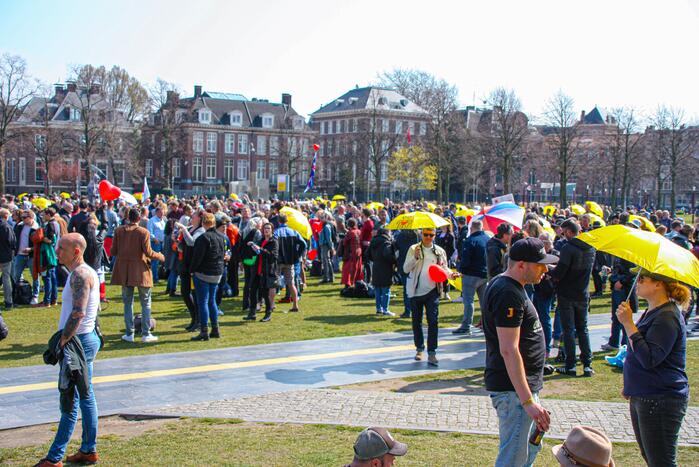 Grote drukte bij demonstratie