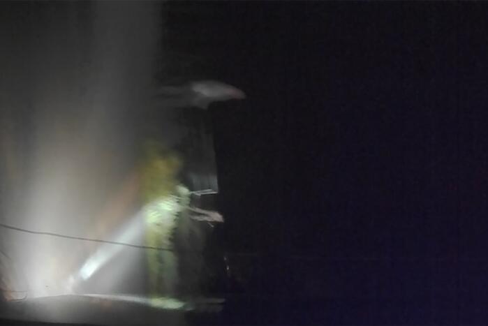 Opnieuw geweld gebruikt tegen journalisten