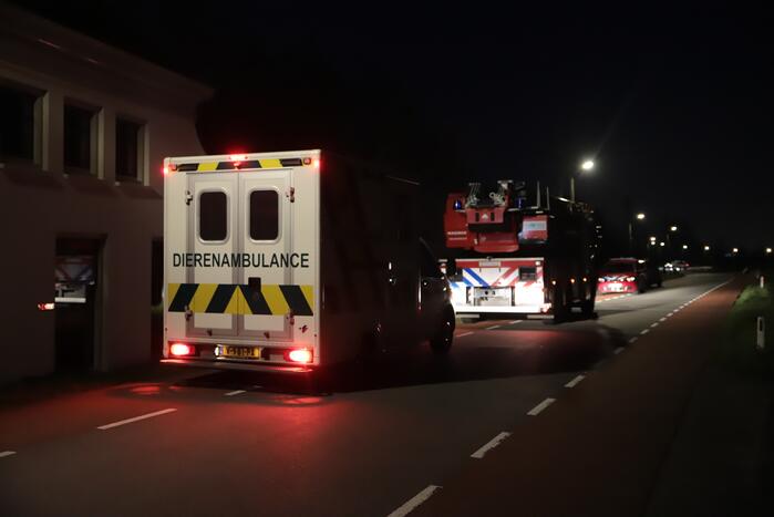 Grote uitslaande brand in duiventil