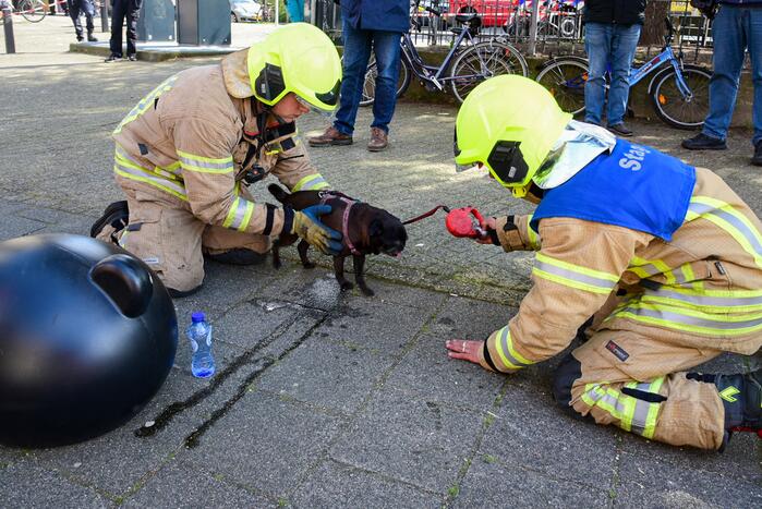 Meerdere bewoners door brand opgesloten in woningen