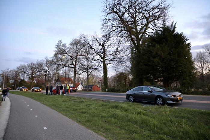 Kopstaart botsing door overstekend eendje