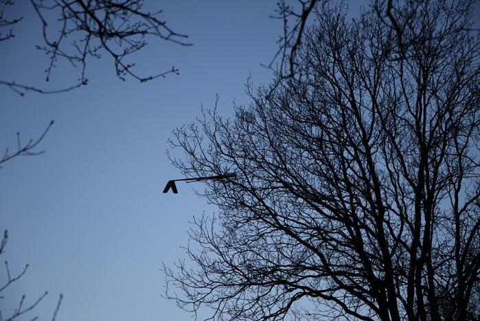 Brandweer haalt vastzittend modelvliegtuig uit boom