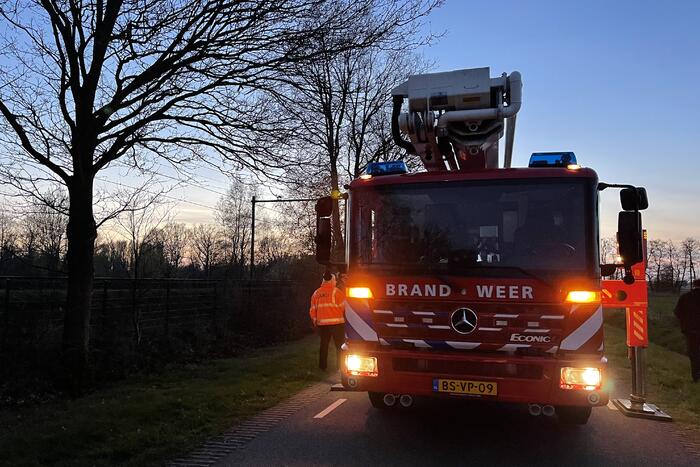 Brandweer haalt vastzittend modelvliegtuig uit boom