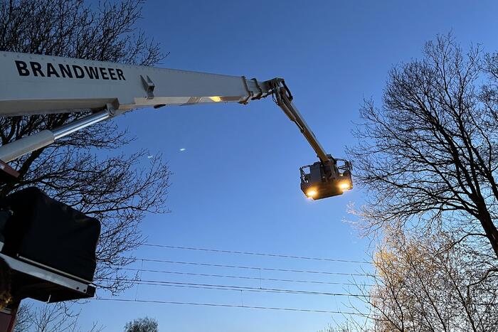 Brandweer haalt vastzittend modelvliegtuig uit boom