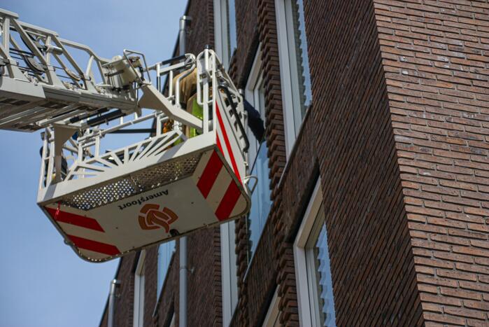 Duiven vast achter glasplaat