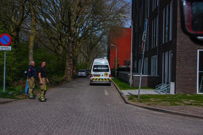 Duiven vast achter glasplaat