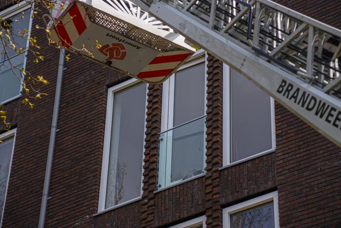 Duiven vast achter glasplaat