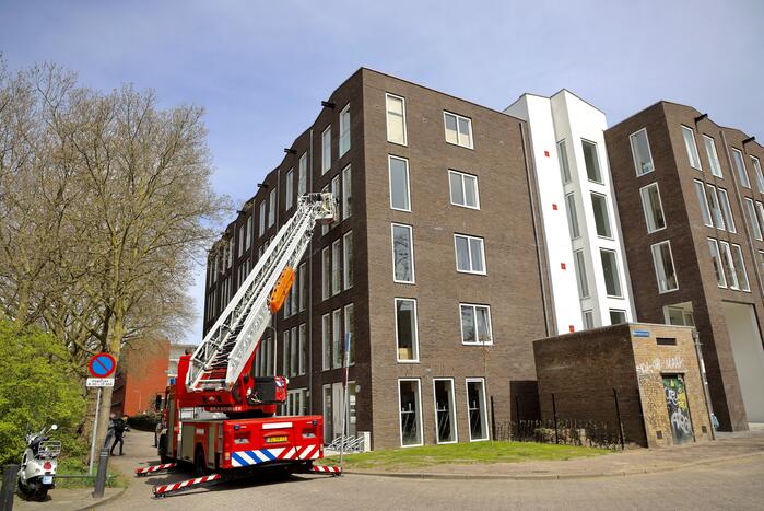 Duiven vast achter glasplaat