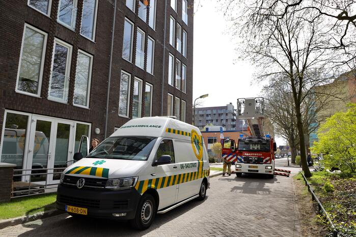 Duiven vast achter glasplaat