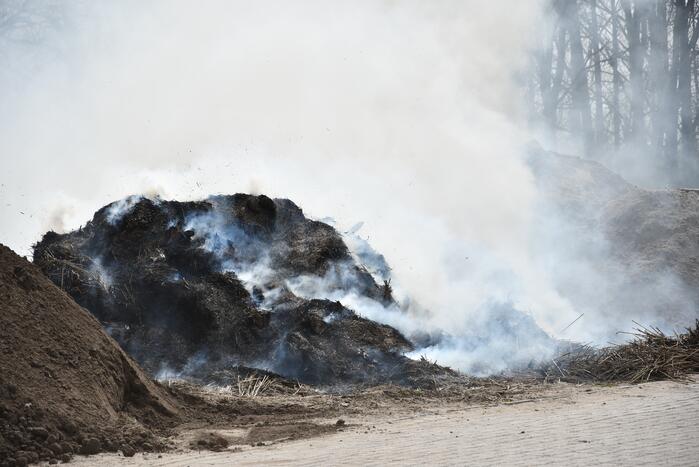 Grote rookwolken door brand in berg riet