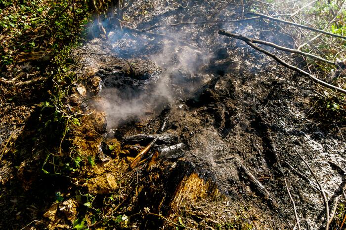 Jongeren veroorzaken brand en vluchten