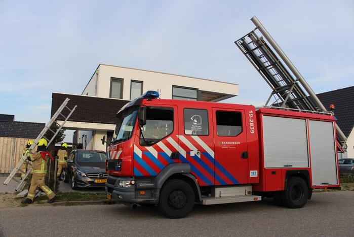 Brandweer bevrijdt duif tussen raam en glasplaat