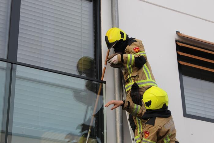 Brandweer bevrijdt duif tussen raam en glasplaat