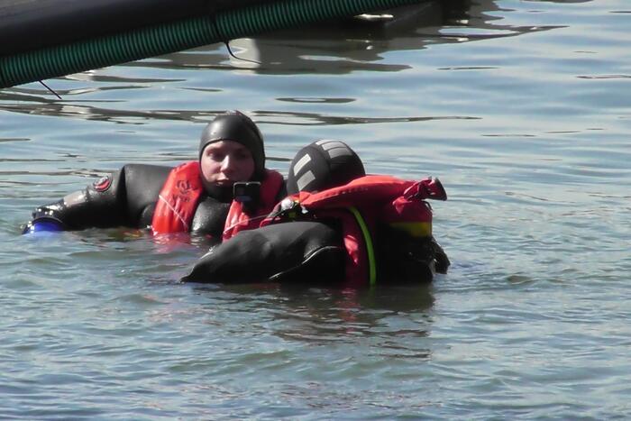 Koe belandt in water Floating Farm
