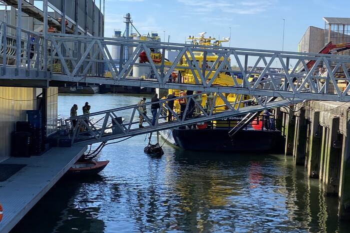 Koe belandt in water Floating Farm