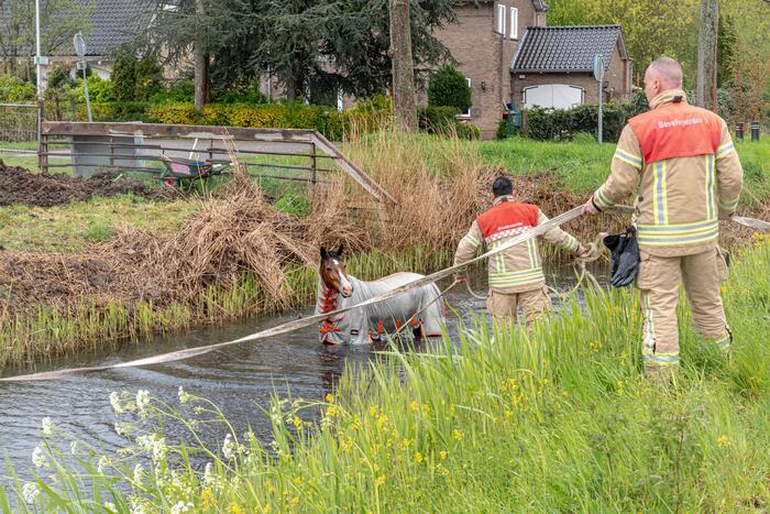 Brandweer en omstanders halen paard uit sloot