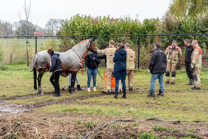 Brandweer en omstanders halen paard uit sloot