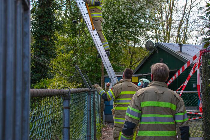 Brandweer bevrijdt vastzittende kraai uit boom