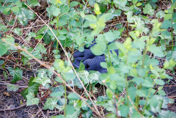 Overval op Schmidt Optiek